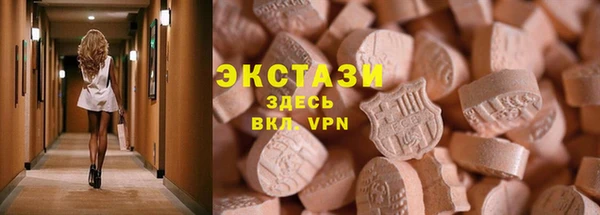 ECSTASY Ельня